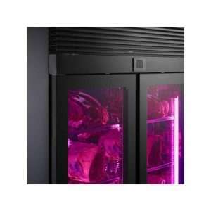 Armario refrigerado para curación de carne con puertas de vidrio temp. de -1°C a +2°C con gestión de la humedad - capacidad 970 lt - Imagen 7